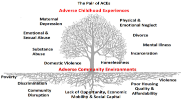 Adverse Childhood Experiences