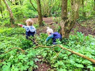 Babies cruising low tree Image